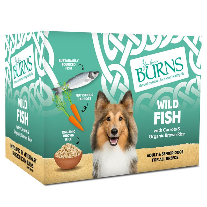 Burns Wet Food Wild Fish with Carrots & Brown Rice 6 x 395g